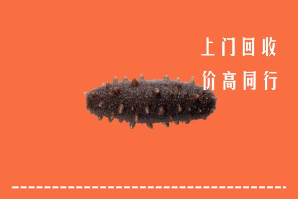 高价求购：娄底回收海参